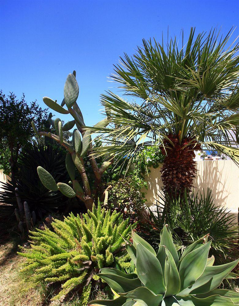 Eurohotel Katrin Suites (Adults Only) Hersonissos  Exteriér fotografie